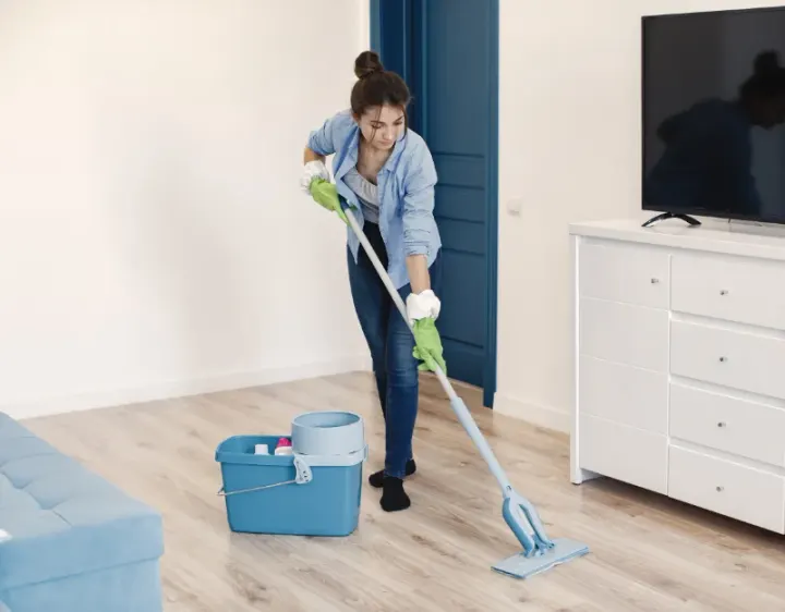 Femme de ménage Salins
